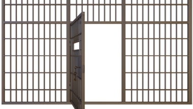 Don't Free Convicts